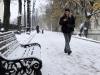 В Москве 25 ноября ожидается снег и до -5 °С