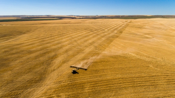 Сальдо: Херсонская область поможет России получить рекордный урожай зерновых