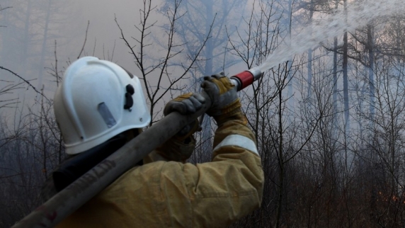В Челябинской области площадь выгоревшего за сутки леса достигла почти 165 га