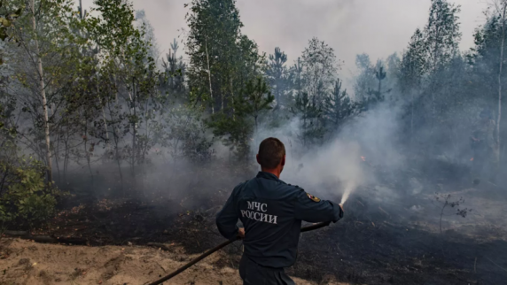 Правительство сообщило о локализации лесного пожара в Рязанской области