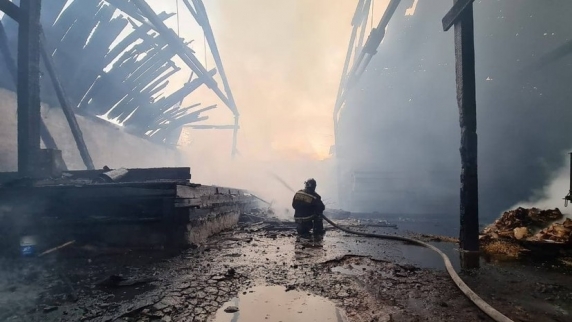 Более 1200 жителей Красноярского края понесли материальный ущерб от пожаров