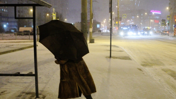 Синоптик Вильфанд пообещал сильные снегопады в ЦФО 4-5 января