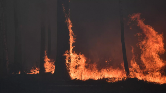 В Тюменской области зафиксировали девять лесных пожаров