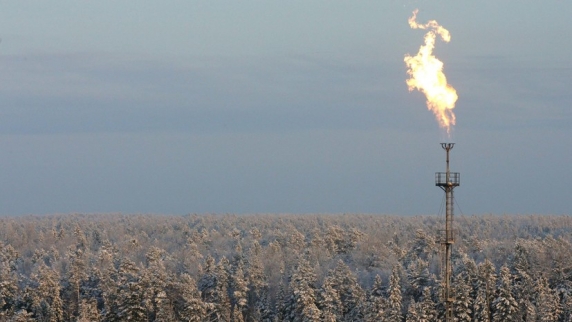 Эксперт назвал смешным заявление главы Минэнерго США о качестве газа из России