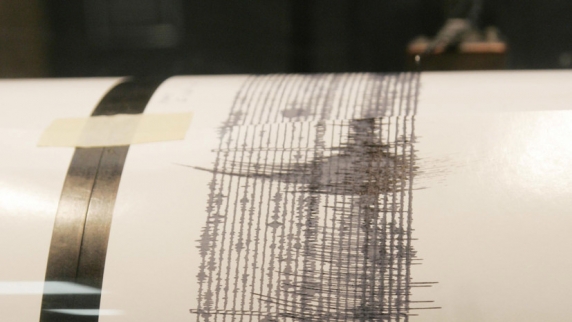 У побережья Новой Зеландии произошло землетрясение магнитудой 5,6