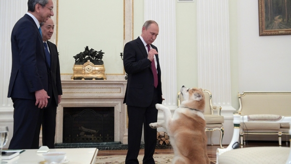 Видео с облаявшей японских журналистов собакой Путина