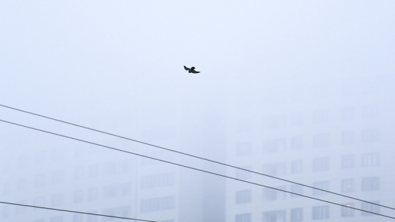 <b>Синоптик</b>и предупредили о смоге в Свердловской области
