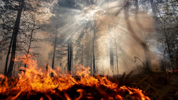 В Красноярском крае остается наиболее сложная обстановка с природными пожарами