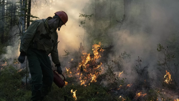 Эколог Каюмов: в случае <b>лес</b>ного пожара в 10 км от населённого пункта необходима эва...
