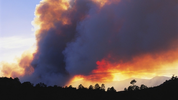 В Свердловской области объявили штормовое предупреждение из-за лесных пожаров