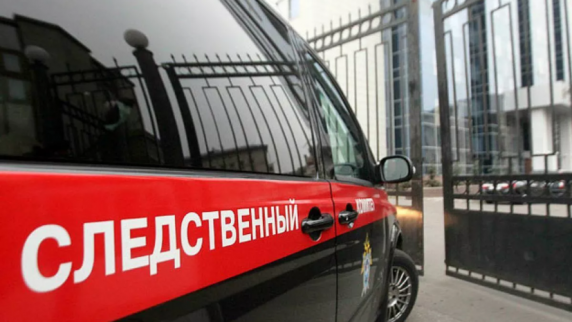 В Красноярском крае ребёнок умер после того, как съел домашнюю котлету