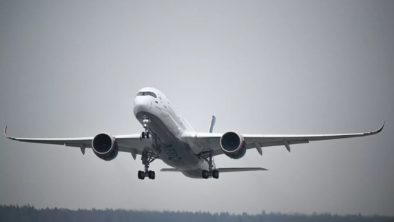 В Черногории рассчитывают возобновить авиасообщение с Россией в ближайшее время
