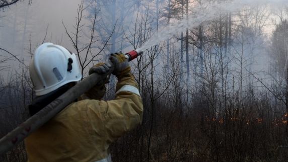 Лесной пожар в Красноярском крае перекинулся на дачи