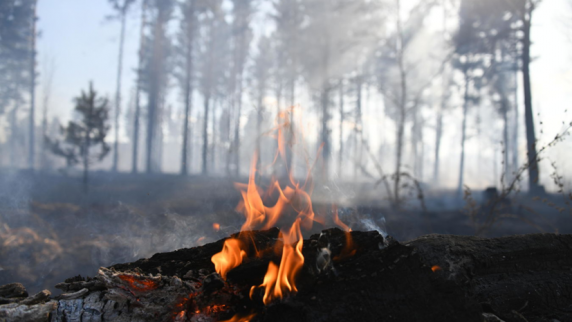 В четырёх регионах <b>Урал</b>а сохранится высокая пожароопасность в июле