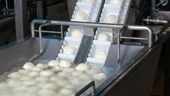 В Краснодарском крае реализован инвестиционный проект по производству сыра