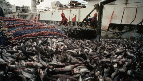 Руководитель информагентства по рыболовству Савельев: в России не может быть дефицита рыбы