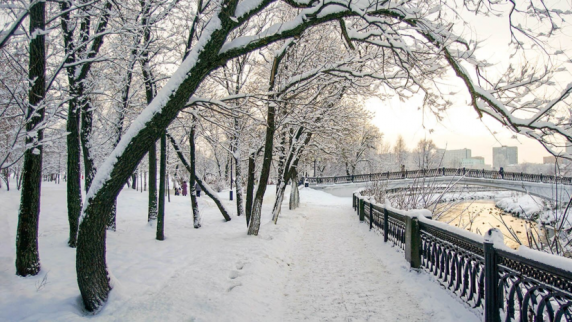 Синоптик рассказал о погоде в Москве на Рождество