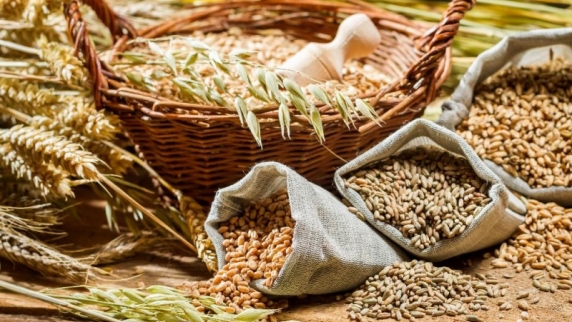 В России ожидают собрать в этом году более ста миллионов тонн зерна