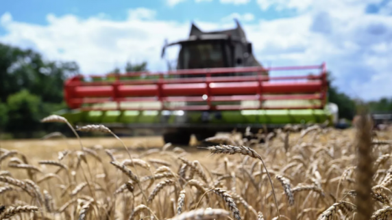 Минсельхоз: Россия поставит в Африку до 200 тысяч тонн пшеницы до конца года