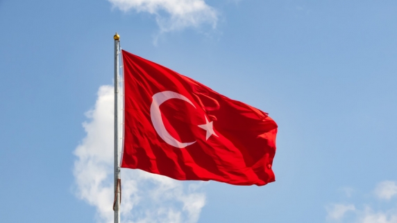 В Турции заявили, что расширение <b>НАТО</b> возможно лишь при удовлетворении опасений Анк...