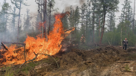 Глава Рослесхоза Советников допустил сокращение ущерба от лесных пожаров втрое по итогу 20...