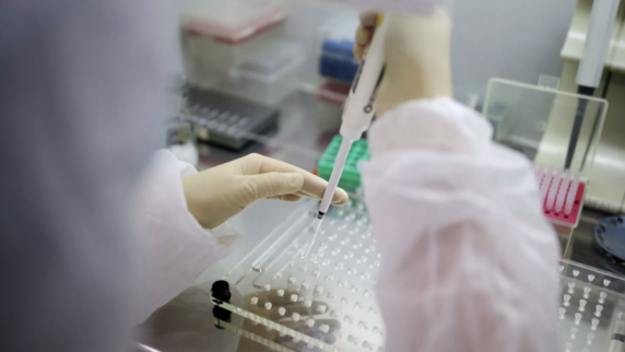 Вирусолог Нетёсов высказался против использования «омикрона» в качестве «живой вакцины»
