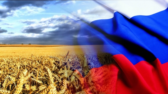 Россия заработает на зерне $7–8 млрд