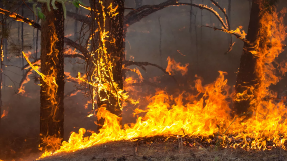В ХМАО объявили о завершении пожароопасного сезона