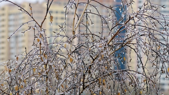 Синоптик Ильин рассказал о ледяном дожде в Москве
