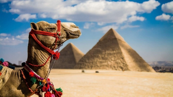 Российские туристы до конца года в Египет не полетят