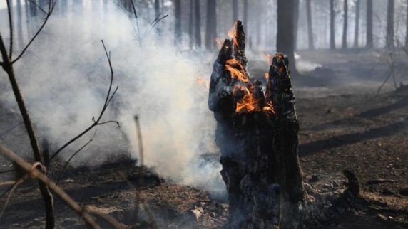 В Оренбургской области потушили природный <b>пожар</b>