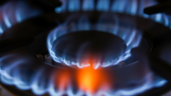 Специалист Москвина заявила о важности <b>закон</b>а об обязательной проверке газового обо...