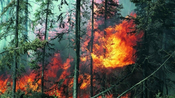 В Сибири и на Дальнем Востоке бушуют лесные <b>пожар</b>ы
