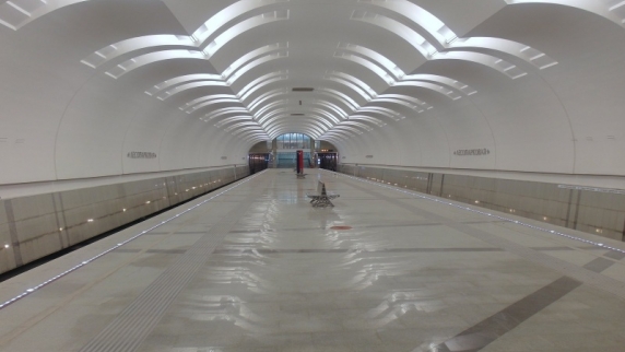 Флешмоб Mannequin Challenge заморозил московское метро (ВИДЕО)