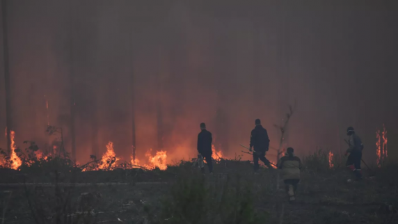 Депутат Бурматов рассказал, как в России устанавливают причины природных пожаров