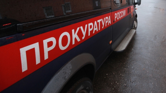Прокуратура начала проверку из-за драки школьниц возле ночного клуба в Нижнекамске