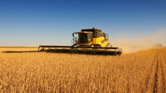 Алтайский край увеличил экспорт зерна в 6,5 раза