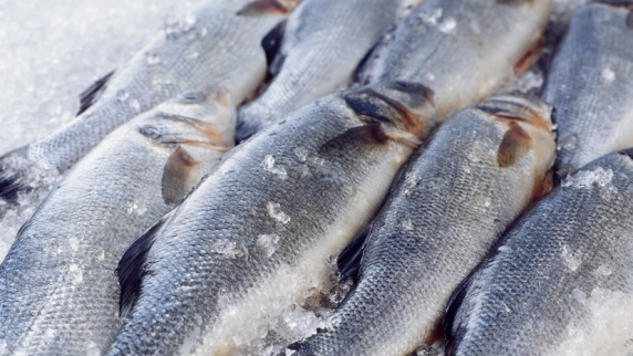 Россельхознадзор присоединился к ограничениям КНР по поставкам рыбы из Японии