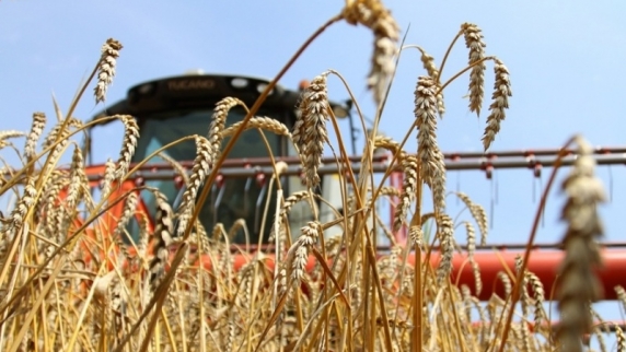 Рекордный урожай зерновых приведет к дефляции