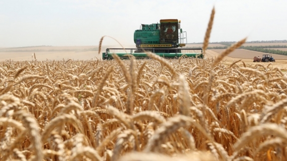 В США опасаются, что Россия станет главным экспортёром пшеницы