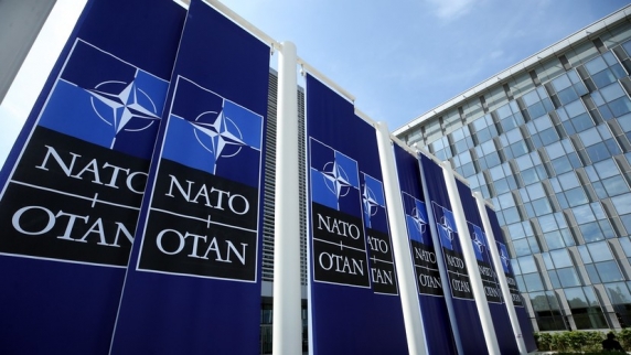 Депутат бундестага Гизи обвинил НАТО в обострении конфликта с Россией