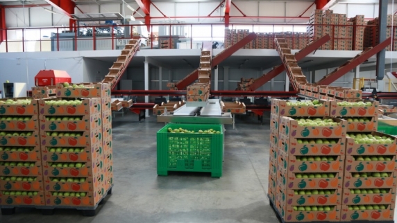 В <b>Воронеж</b>ской области открыли фруктохранилище на 5 тысяч тонн