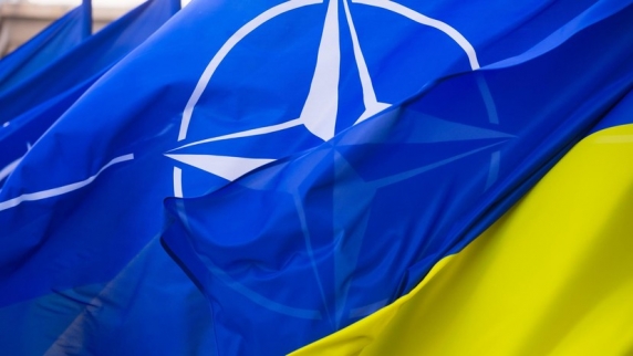 Политолог Почта поддержал заявление Володина о стремлении НАТО «оккупировать» Украину