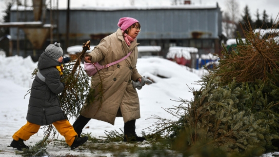 В Москве в рамках акции «Ёлочный круговорот» сдали более 20 тысяч хвойных деревьев