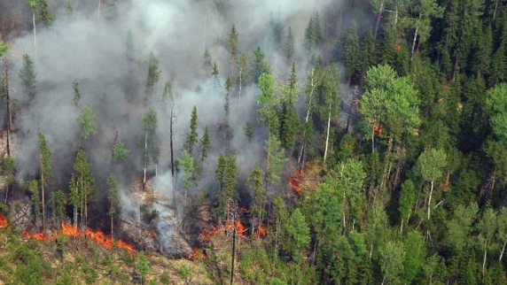В Якутии второй день борются с сильным лесным пожаром рядом с населенным пунктом