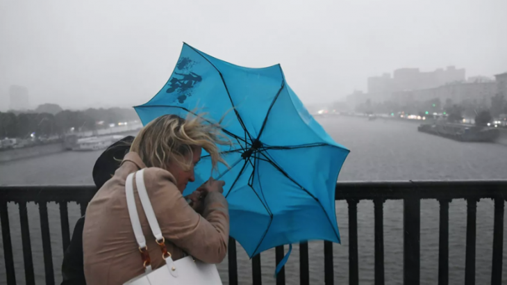 Тишковец предупредил о штормовом ветре в Москве 21 октября