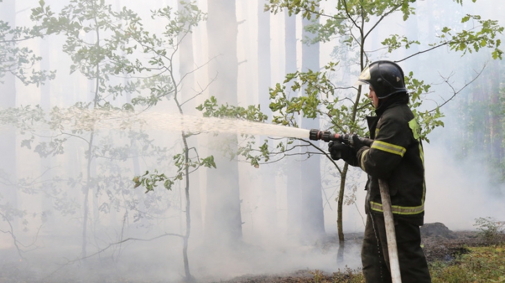 Власти Рязанской области назвали контролируемой ситуацию с лесными пожарами в регионе