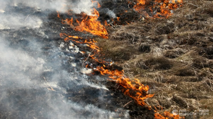 Площадь горящей сухой травы на Ставрополье достигла 300 га