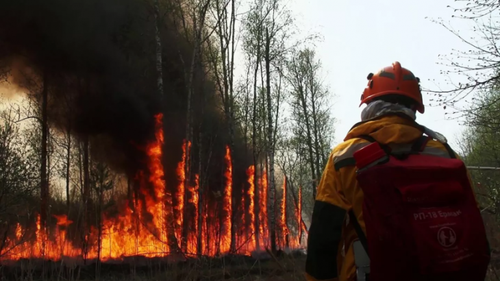 В МЧС прокомментировали ситуацию с лесными пожарами на Ямале
