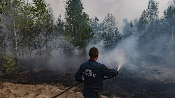 Правительство сообщило о локализации лесного пожара в Рязанской области